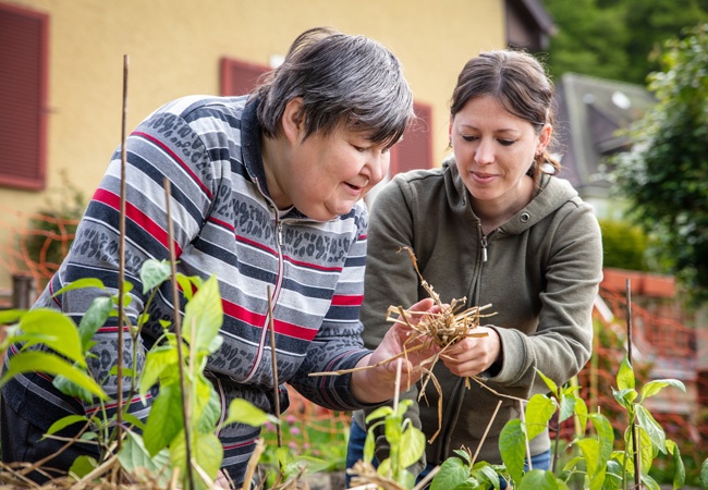 2 dames dont une en situation de handicap qui jardinent dans un potager